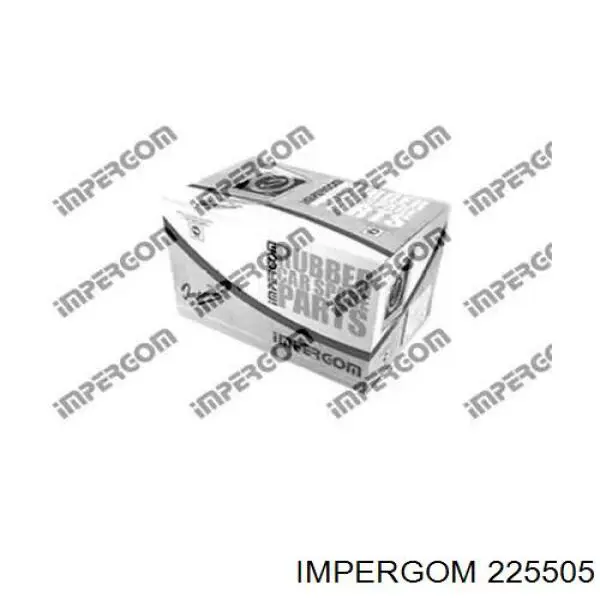225505 Impergom Przewód (króciec) intercoolera