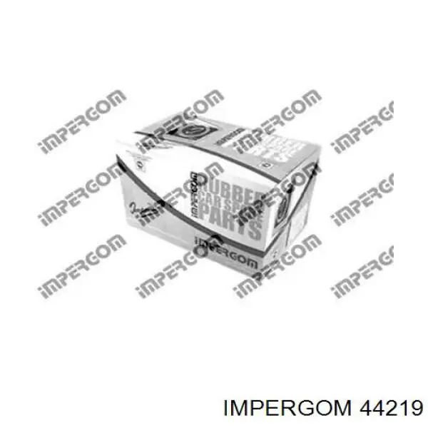 44219 Impergom Zbiorniczek wyrównawczy układu chłodzenia
