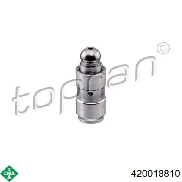 Do koszyka 420018810 INA Kompensator hydrauliczny (popychacz hydrauliczny), popychacz zaworu
