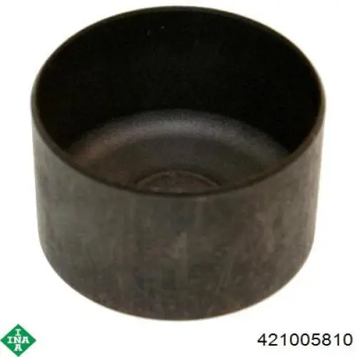 Kompensator hydrauliczny (popychacz hydrauliczny), popychacz zaworu INA 421005810 cena, od 8,15 USD