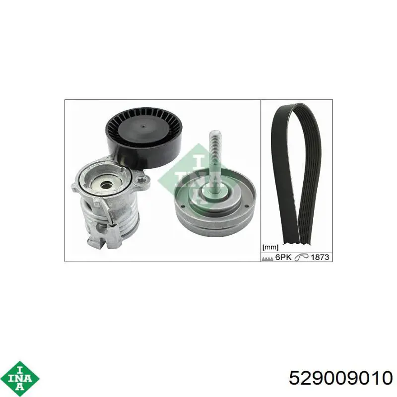 Pasek napędowy mechanizmów, zestaw INA 529009010 cena, od 115,61 USD