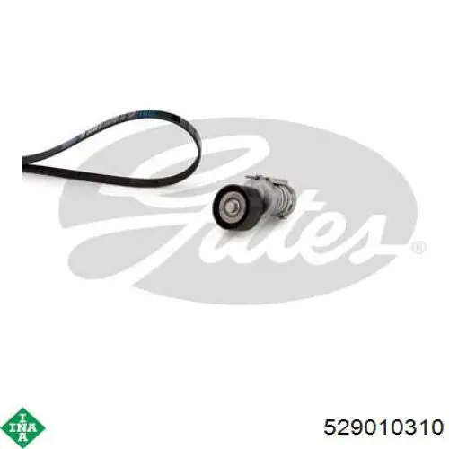 Pasek napędowy mechanizmów, zestaw INA 529010310 cena, od 76,95 USD