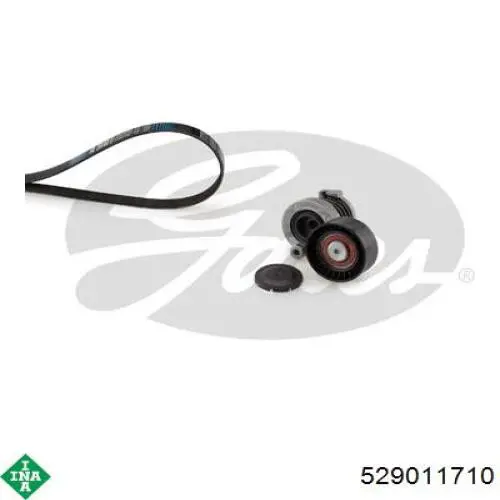 Pasek napędowy mechanizmów, zestaw INA 529011710 cena, od 92,60 USD