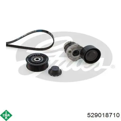 Pasek napędowy mechanizmów, zestaw INA 529018710 cena, od 121,26 USD
