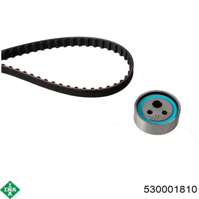 Pasek rozrządu, zestaw INA 530001810 cena, od 46,87 USD