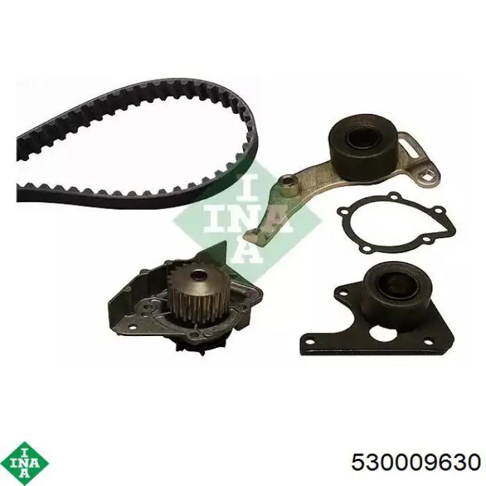 Pasek rozrządu, zestaw INA 530009630 cena, od 153,47 USD