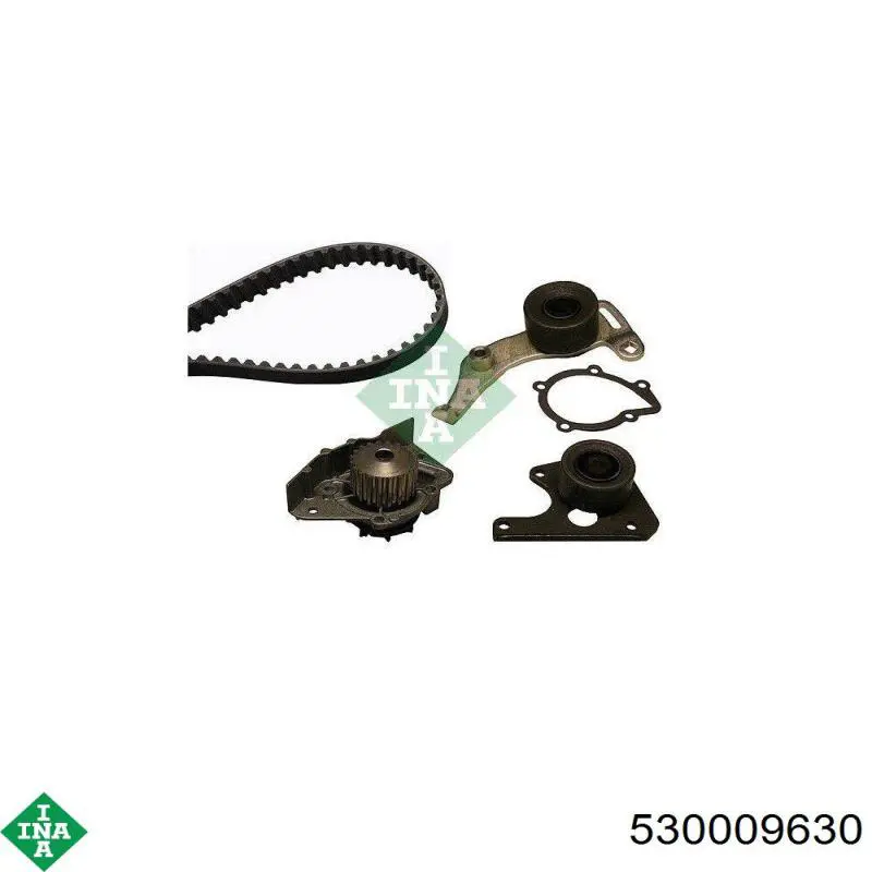 Do koszyka 530009630 INA Pasek rozrządu, zestaw