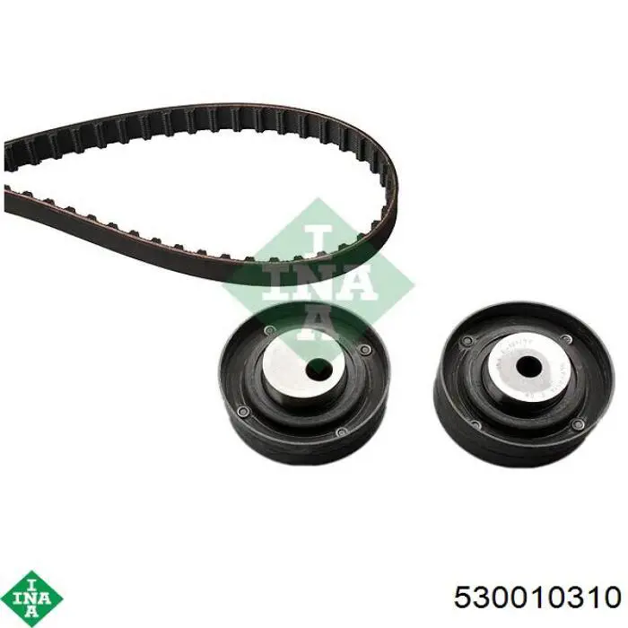 Pasek rozrządu, zestaw INA 530010310 cena, od 142,50 USD