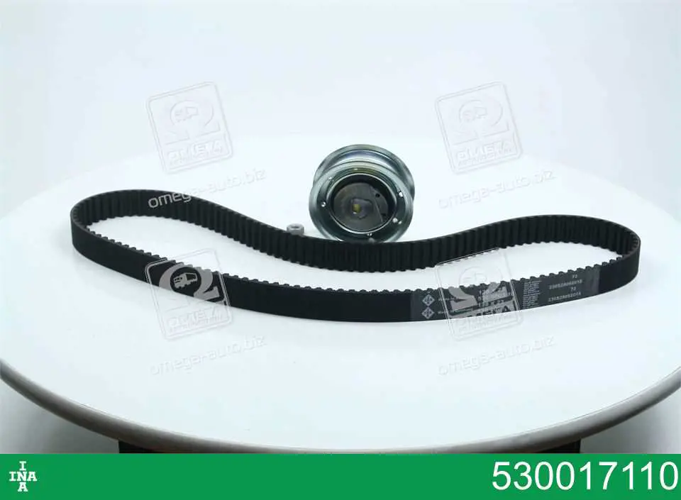 Pasek rozrządu, zestaw INA 530017110 cena, od 65,29 USD