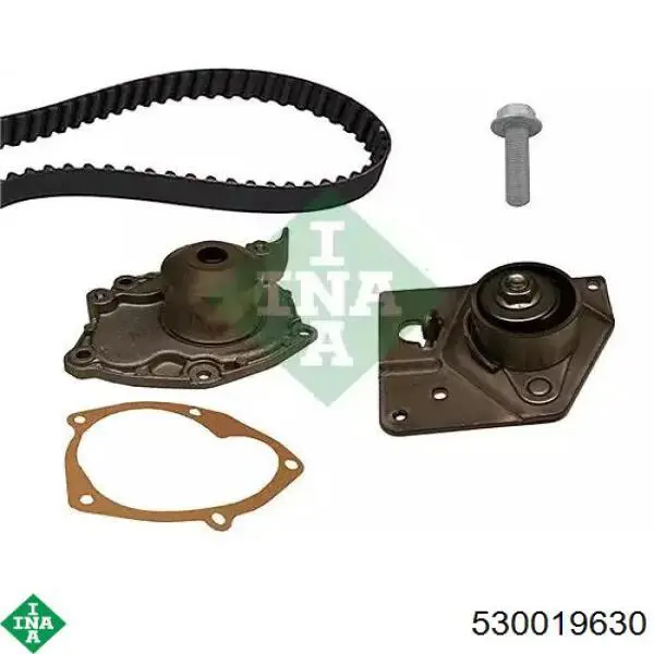 Pasek rozrządu, zestaw INA 530019630 cena, od 131,56 USD