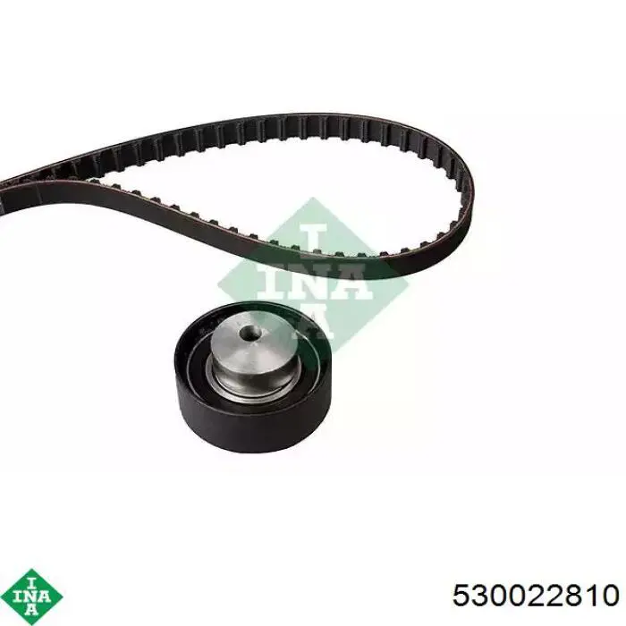Pasek rozrządu, zestaw INA 530022810 cena, od 60,47 USD