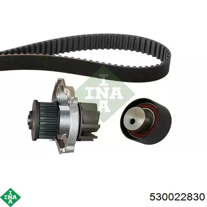 Pasek rozrządu, zestaw INA 530022830 cena, od 97,28 USD