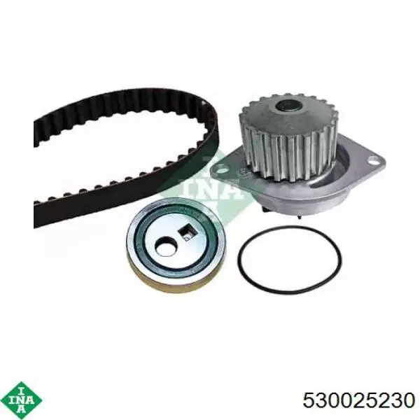 Pasek rozrządu, zestaw INA 530025230 cena, od 81,70 USD