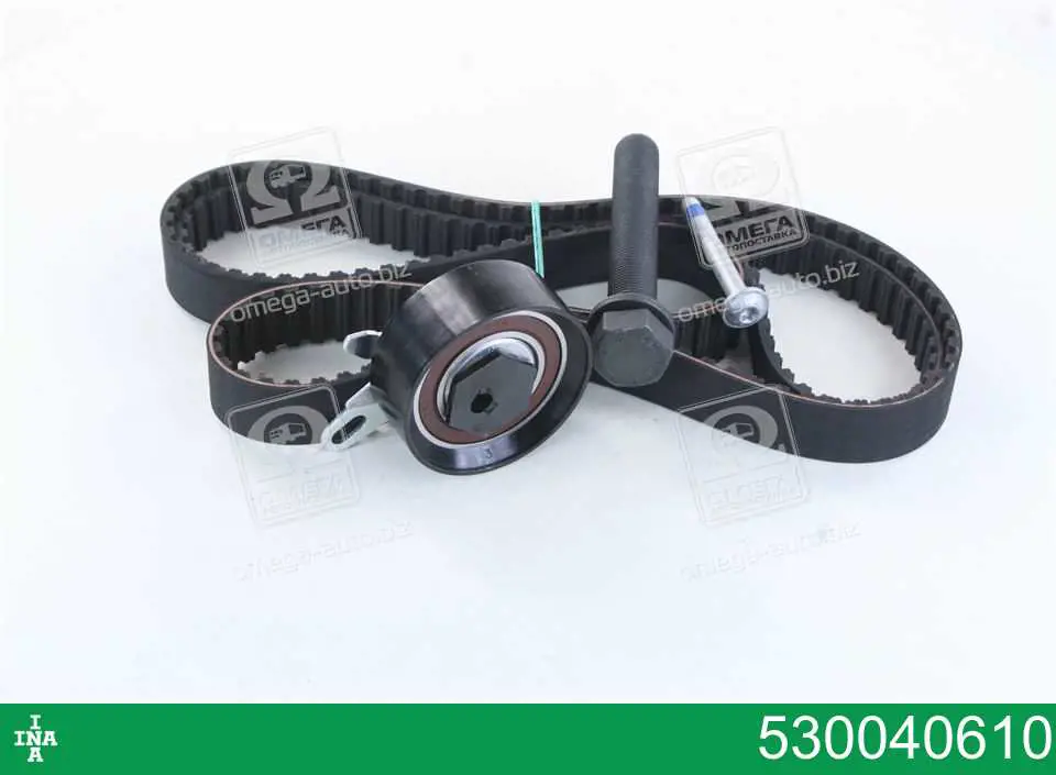 Pasek rozrządu, zestaw INA 530040610 cena, od 91,44 USD