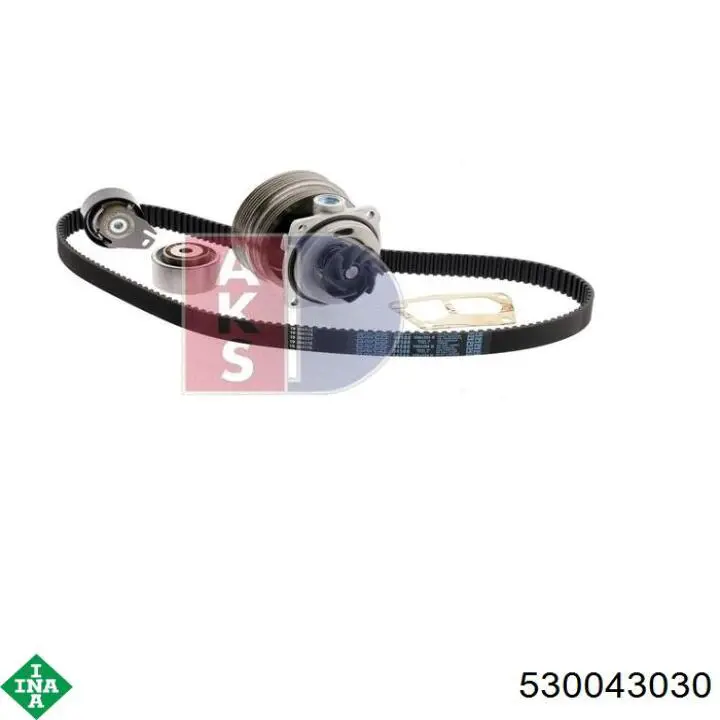 Pasek rozrządu, zestaw INA 530043030 cena, od 166,77 USD