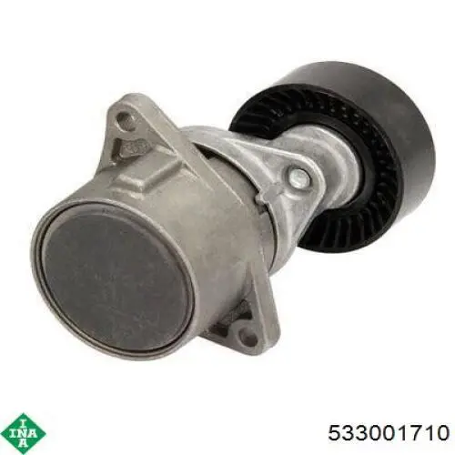 Do koszyka 533001710 INA Napinacz paska napędowego