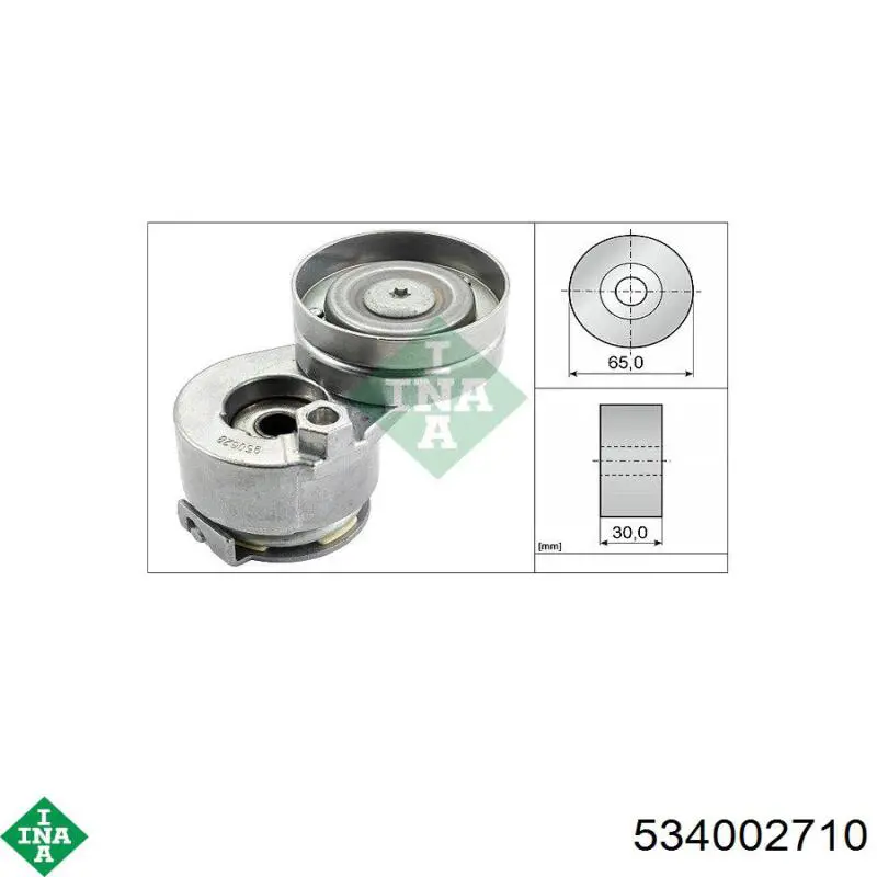 Do koszyka 534002710 INA Napinacz paska napędowego