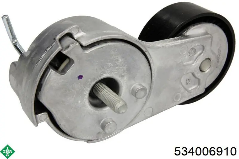 Do koszyka 534006910 INA Napinacz paska napędowego