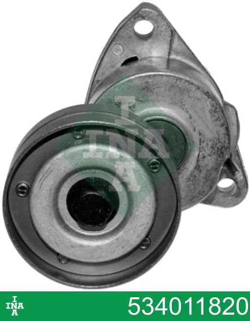 Do koszyka 534011820 INA Napinacz paska napędowego