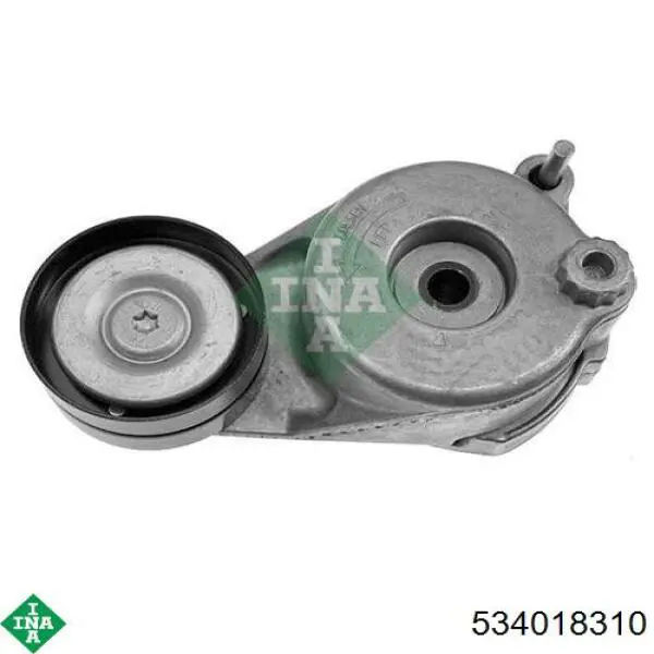 Napinacz paska napędowego INA 534018310 cena, od 55,02 USD