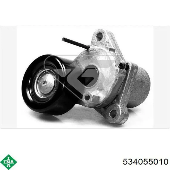 Do koszyka 534055010 INA Napinacz paska napędowego