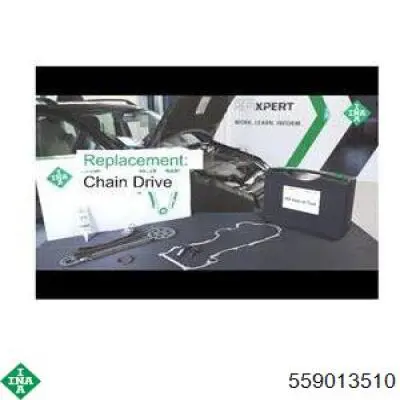 Łańcuch rozrządu, zestaw INA 559013510 cena, od 104,43 USD