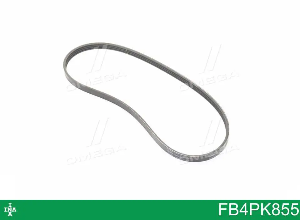 FB4PK855 INA Pas napędowy mechanizmów