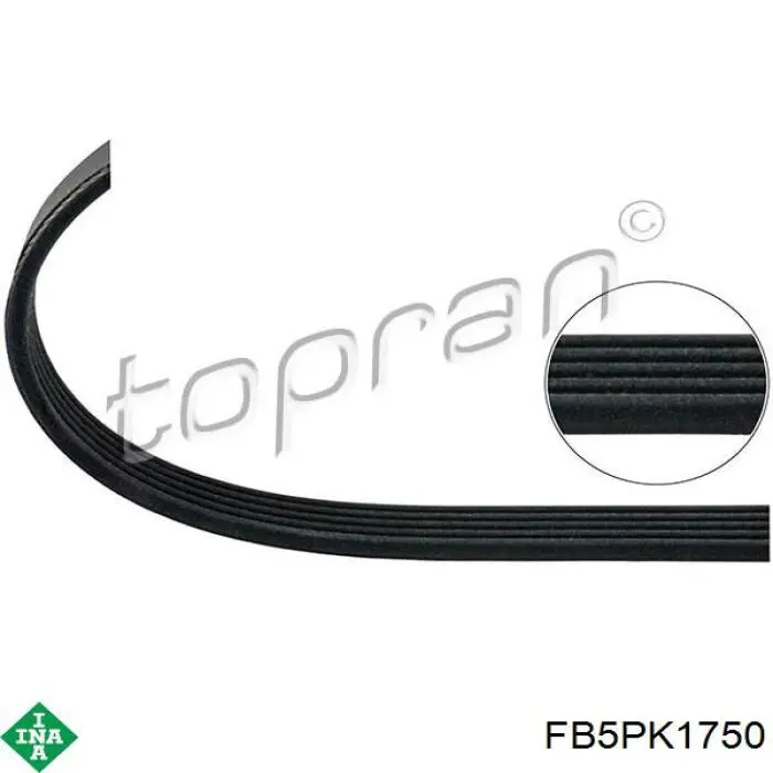 Pas napędowy mechanizmów INA FB5PK1750 cena, od 14,80 USD