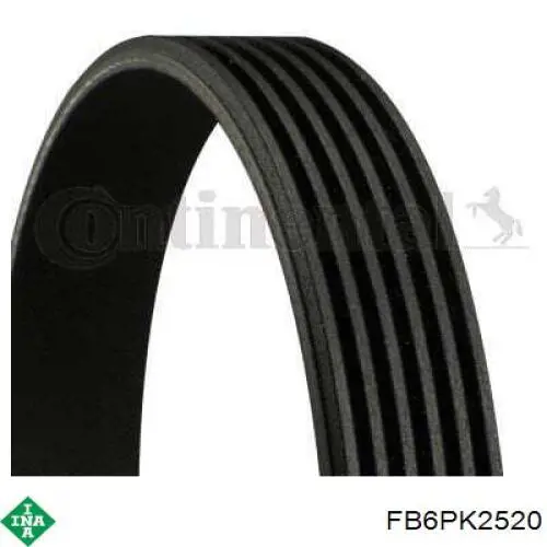 FB6PK2520 INA Pas napędowy mechanizmów
