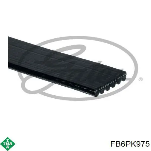 Do koszyka FB6PK975 INA Pas napędowy mechanizmów