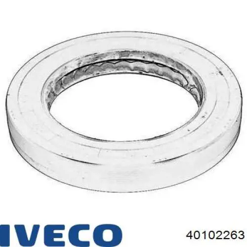 Uszczelniacz końcówki reduktora mostu tylnego Iveco 40102263 cena, od 27,47 USD