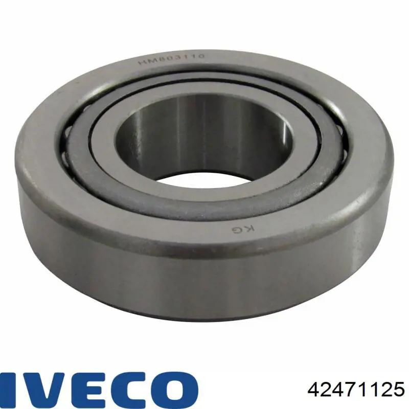 Do koszyka 42471125 Iveco Łożysko końcówki mostu tylnego wewnętrzne