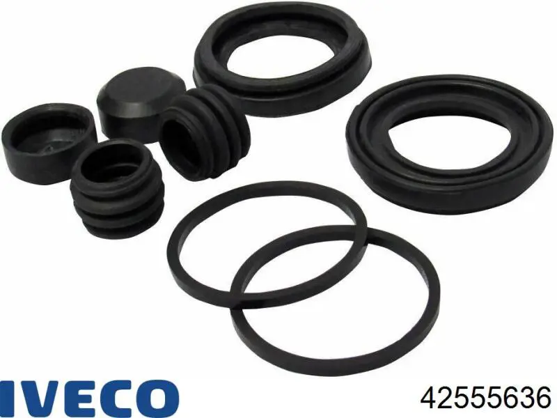 42555636 Iveco Zestaw naprawczy zacisku hamulcowego tylnego