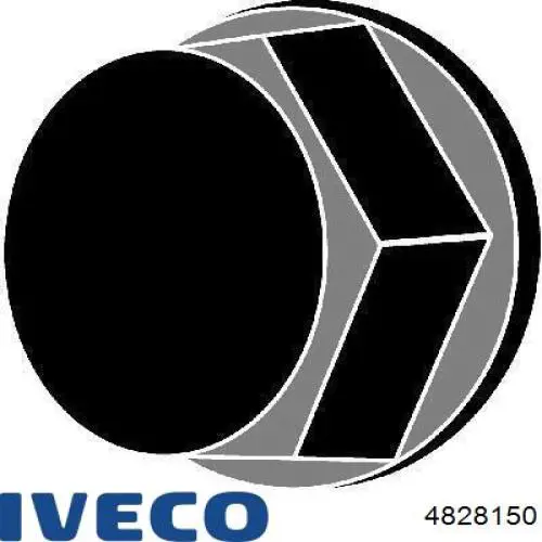Śruba głowicy cylindrów Iveco 4828150 cena, od 3,91 USD