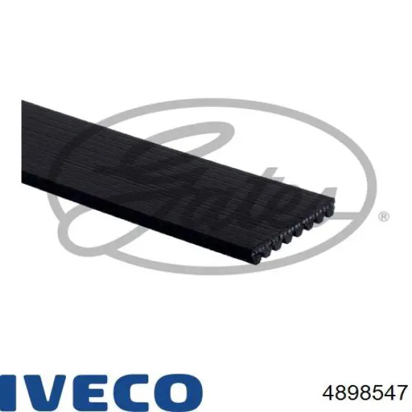 Do koszyka 4898547 Iveco Pas napędowy mechanizmów