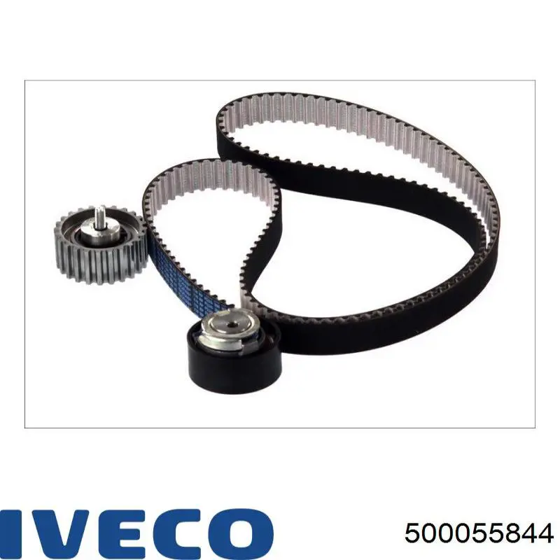 Do koszyka 500055844 Iveco Pasek rozrządu, zestaw