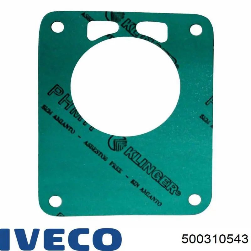 Do koszyka 504072342 Fiat/Alfa/Lancia Uszczelka pompy próżniowej