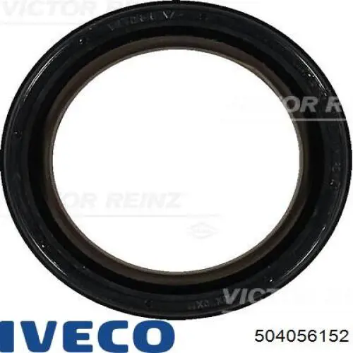 Do koszyka 504056152 Fiat/Alfa/Lancia Uszczelniacz wału korbowego przedni