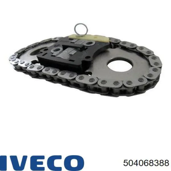 504068388 Iveco Łańcuch rozrządu