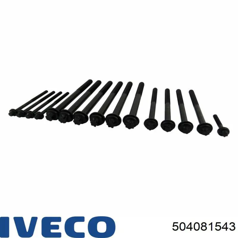 Śruba głowicy cylindrów Fiat/Alfa/Lancia 504081543