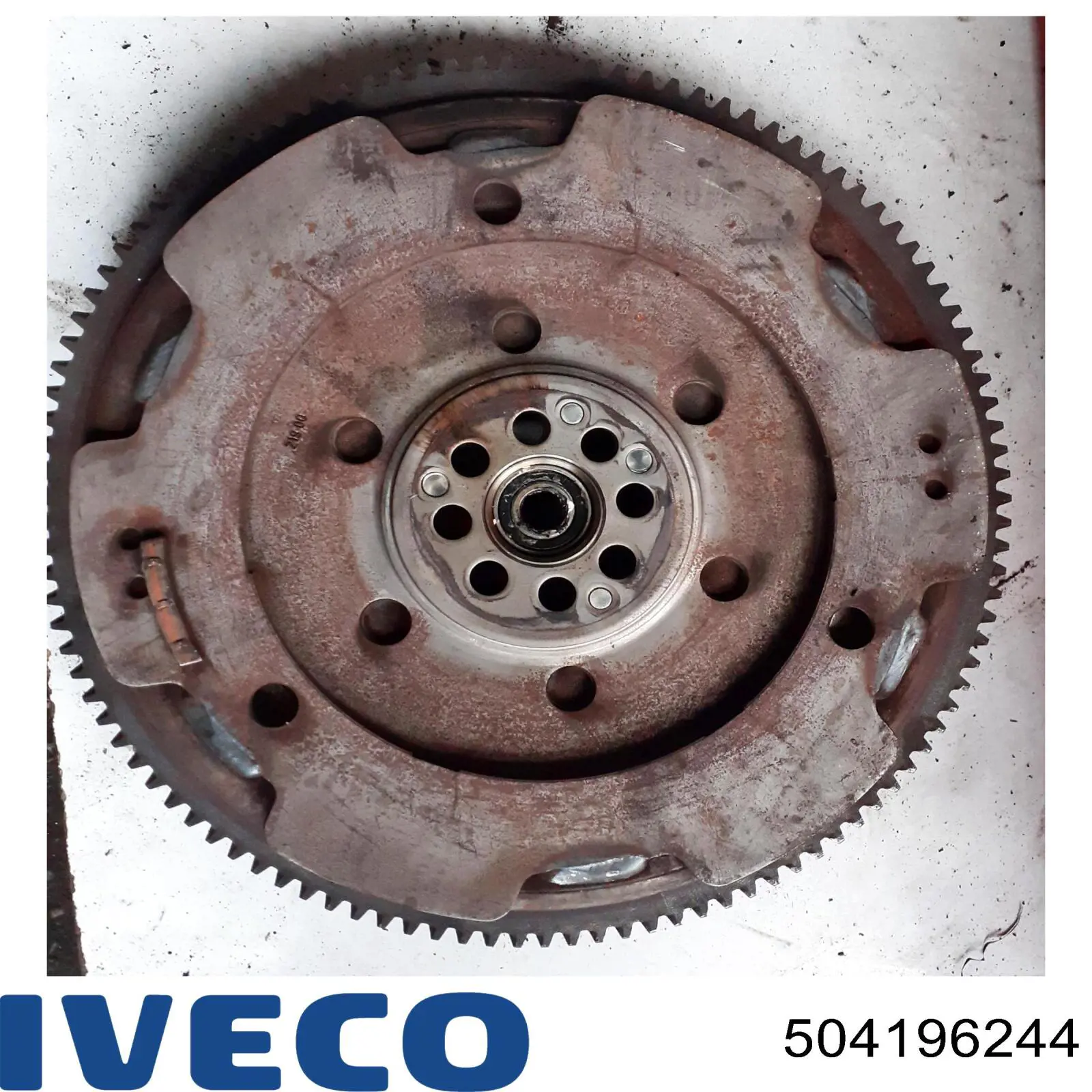 Koło zamachowe silnika 504053152 Iveco