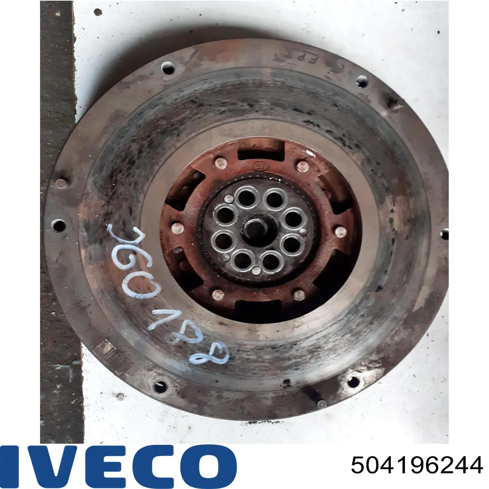 Koło zamachowe silnika 504196244 Iveco