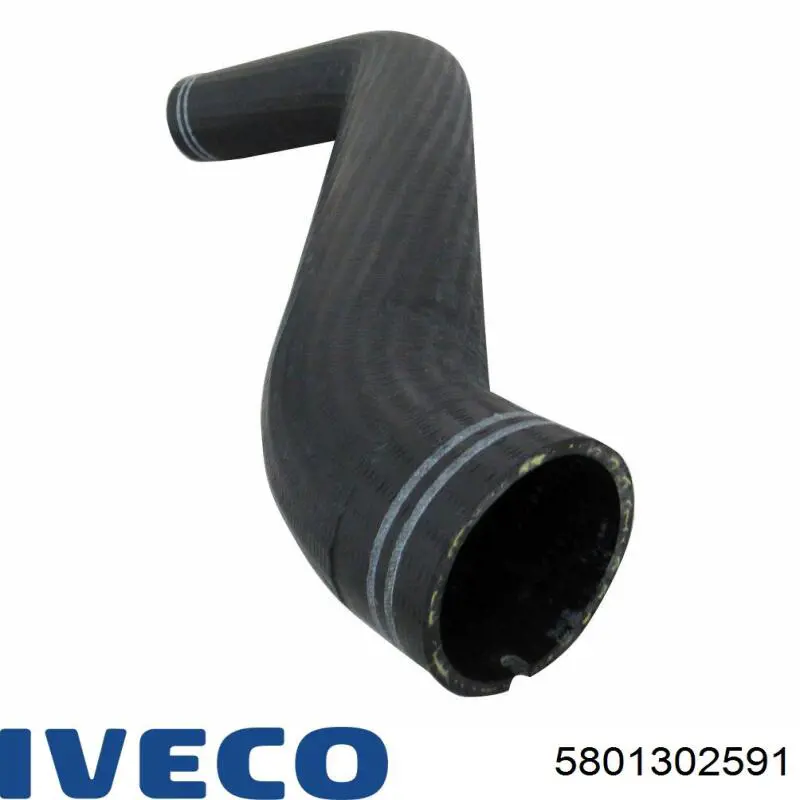 5801302591 Iveco 