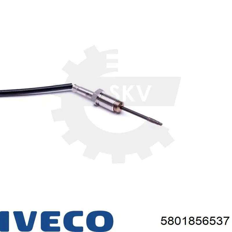 Do koszyka 5801856537 Iveco Czujnik temperatury spalin, przed katalizatorem