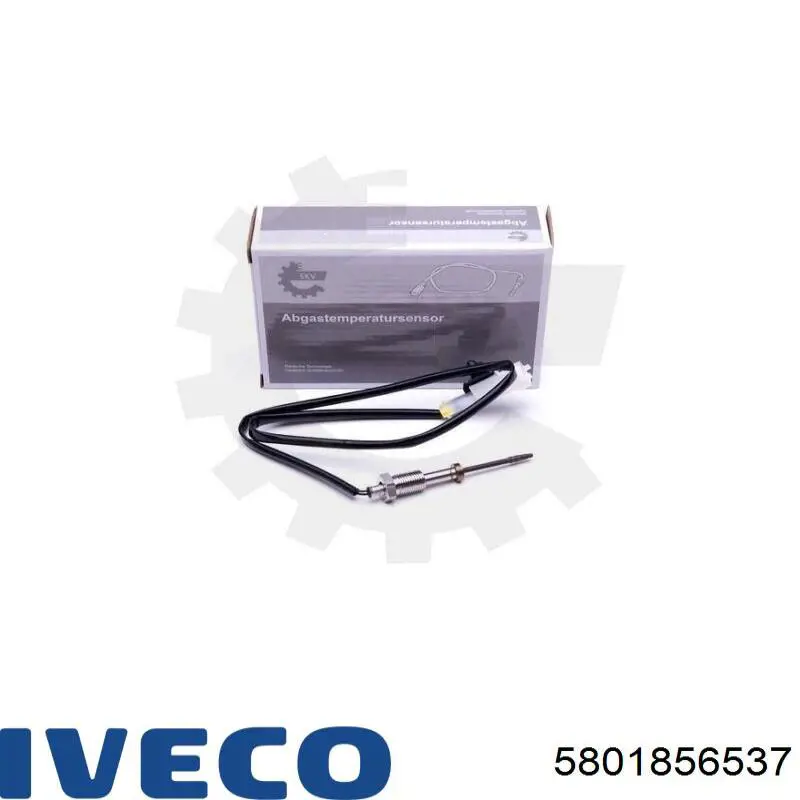 Czujnik temperatury spalin, przed katalizatorem Iveco 5801856537