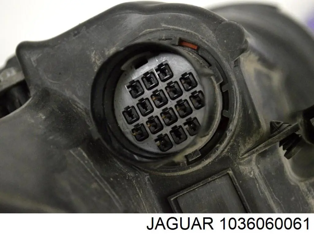 1036060061 Jaguar 