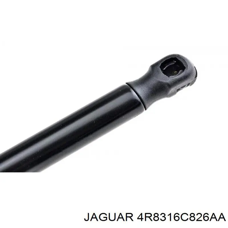 XR8316C826AA Jaguar Amortyzator maski