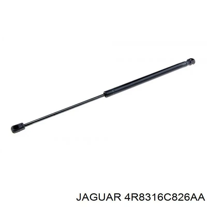 Amortyzator maski Jaguar XR8316C826AA cena, od 25,26 USD