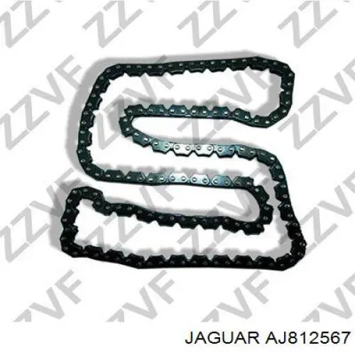 Łańcuch rozrządu AJ812567 Jaguar