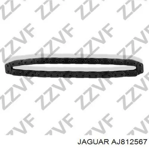 Łańcuch rozrządu Jaguar AJ812567 cena, od 91,09 USD